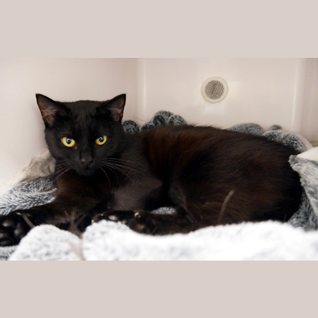 Photo of Buffy Sta013042