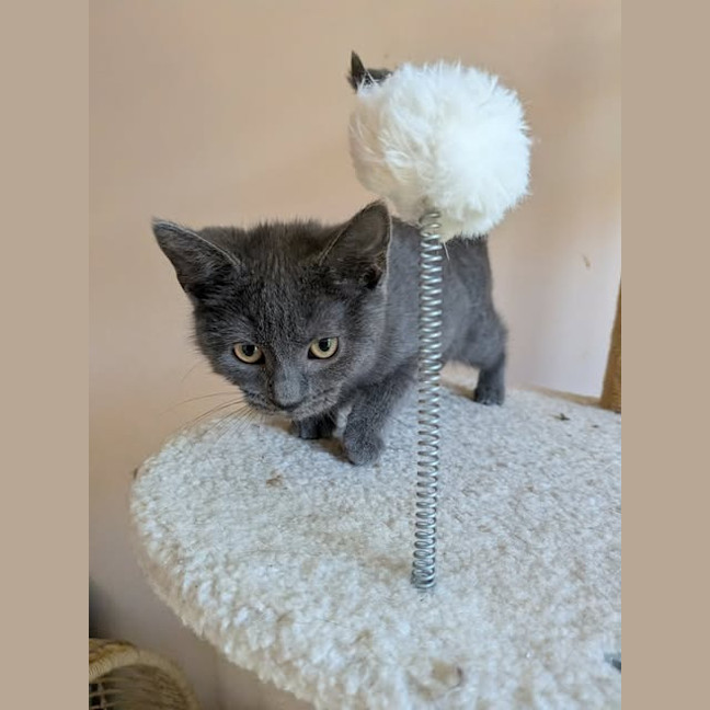 Photo of Greta