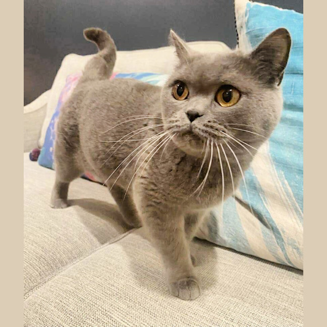 Photo of 🔔Clarabel🔔