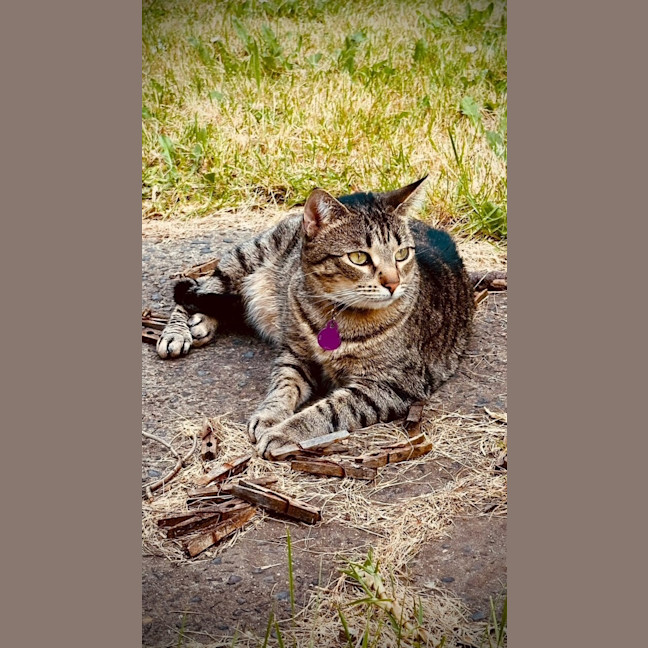 Photo of Dex & Mia