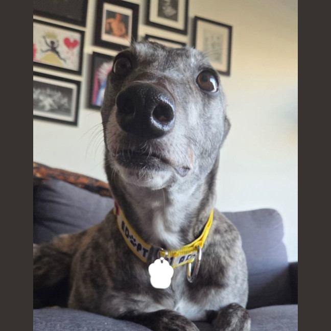 Photo of Nora