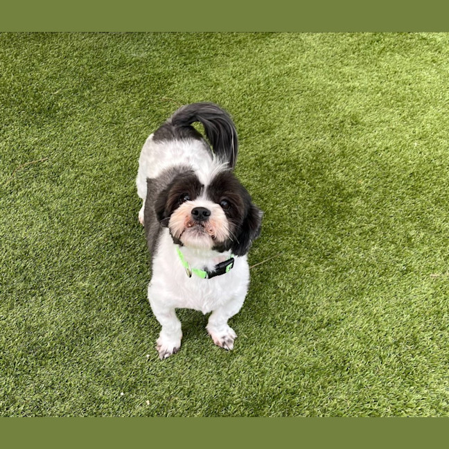 Photo of Bonded Sisters
