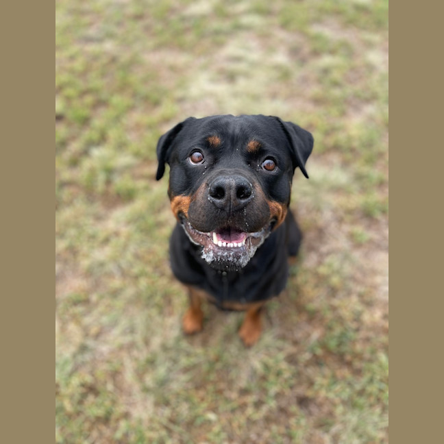 Photo of Cleo