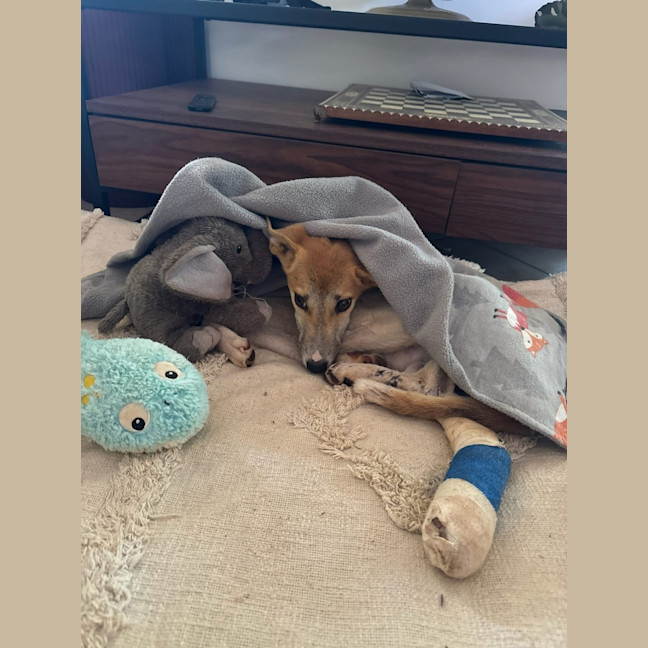 Photo of Yindi