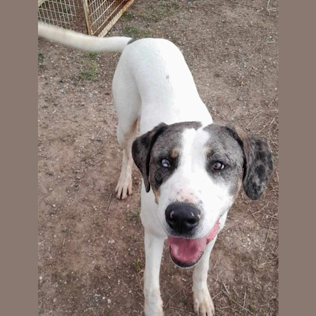 Photo of Jinkx Monsoon