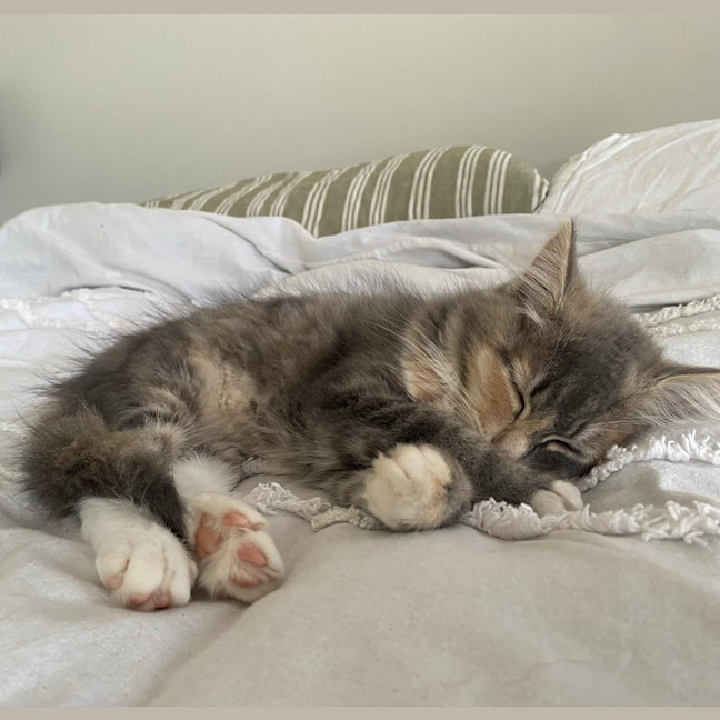 Photo of Milli