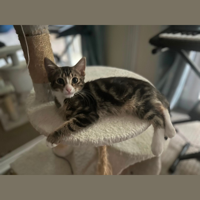 Photo of Spud