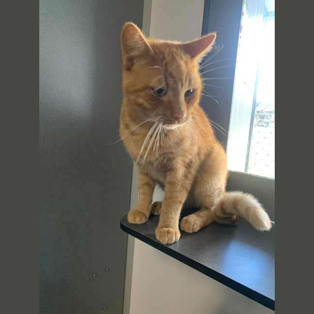 Photo of Fergus