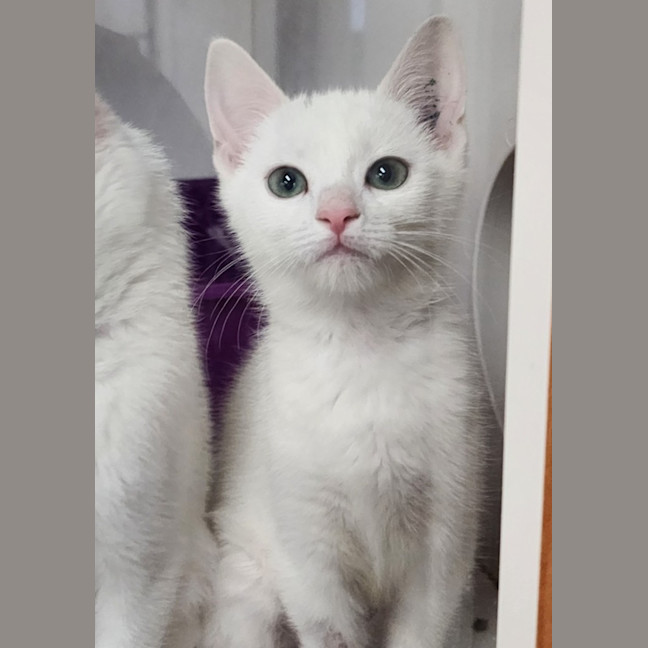 Photo of Thelma & Louise