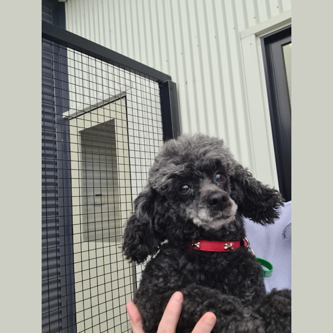 Photo of Carlos And Charlie