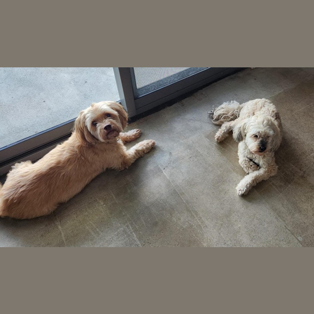 Photo of Zena And Arnie