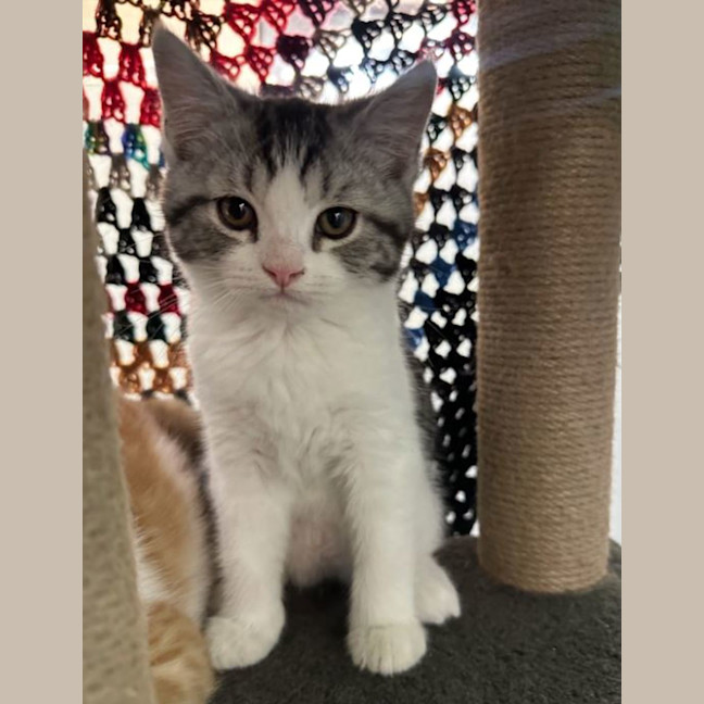 Photo of Malcolm The Mushroom