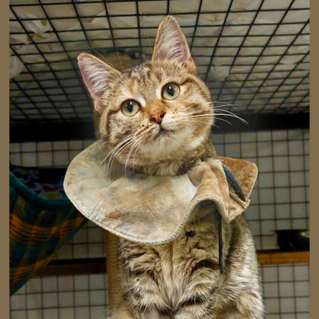 Photo of Monte Carlo