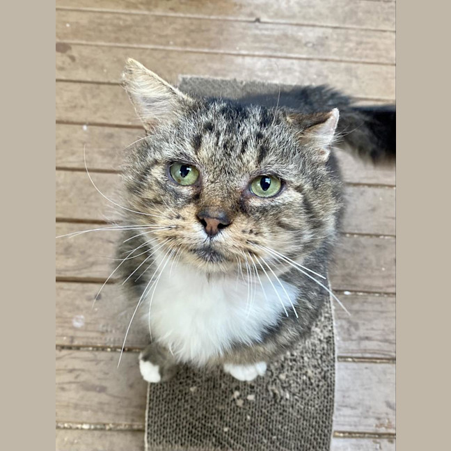 Photo of Bartholomew Ragamuffin