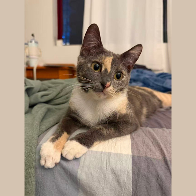 Photo of Luna
