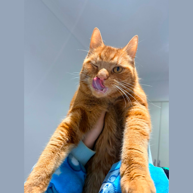 Photo of Sebastian