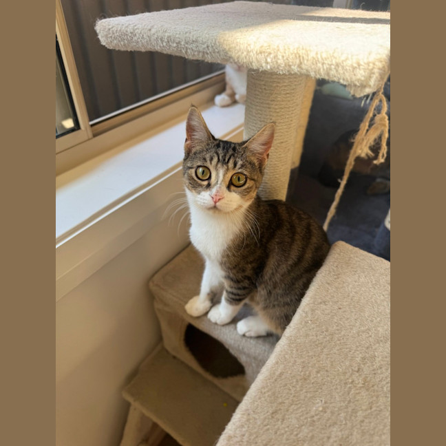 Photo of Flynn