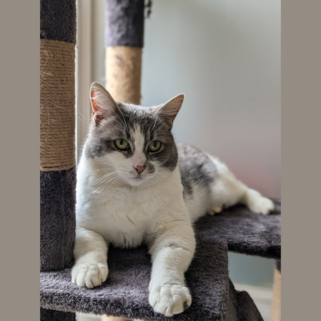 Photo of Misty