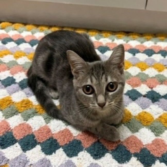 Photo of Hazel