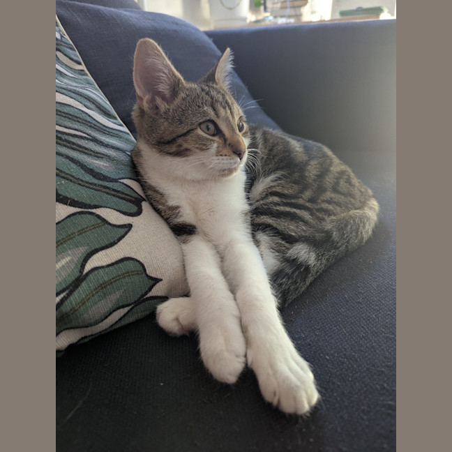 Photo of Dottie Golden