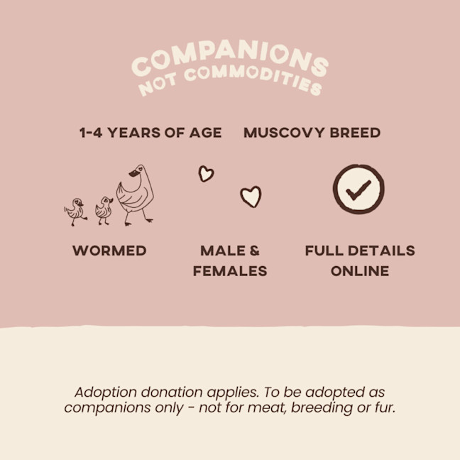 Photo of Mr. White, Mrs. White, Didi, Doris & Delilah