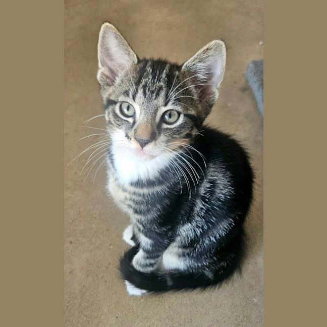 Photo of Olaf
