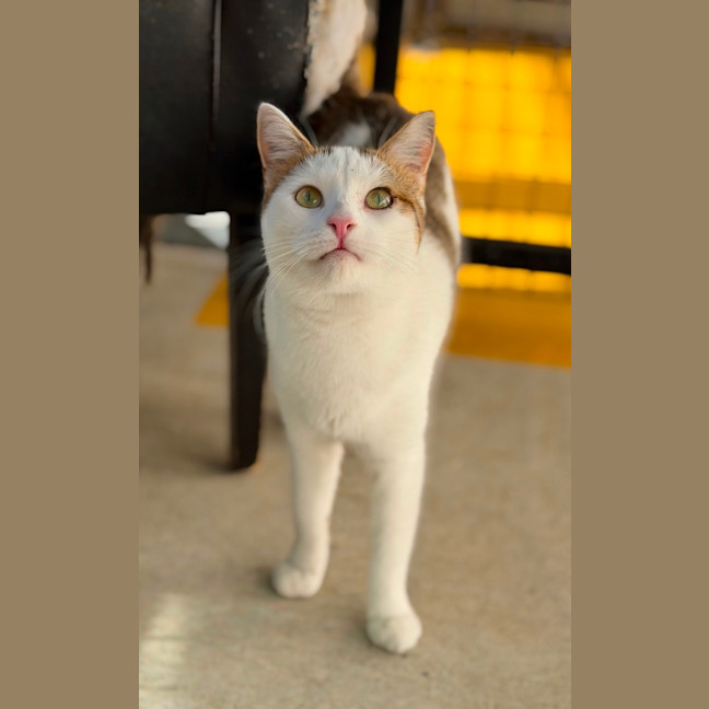 Photo of Grace