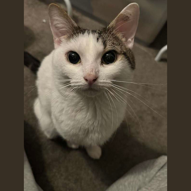 Photo of Smoosh