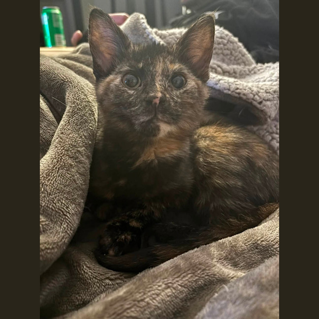 Photo of Marble