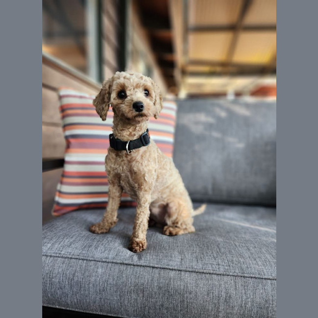 Photo of Narla 