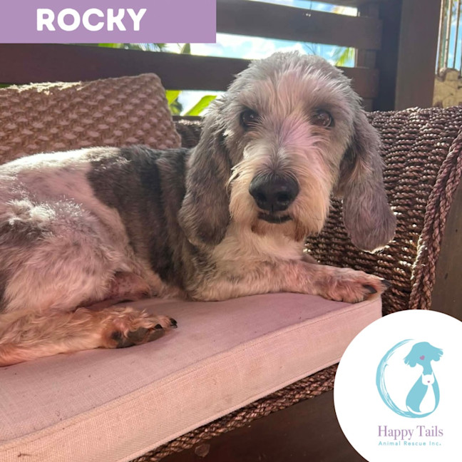 Photo of Rocky