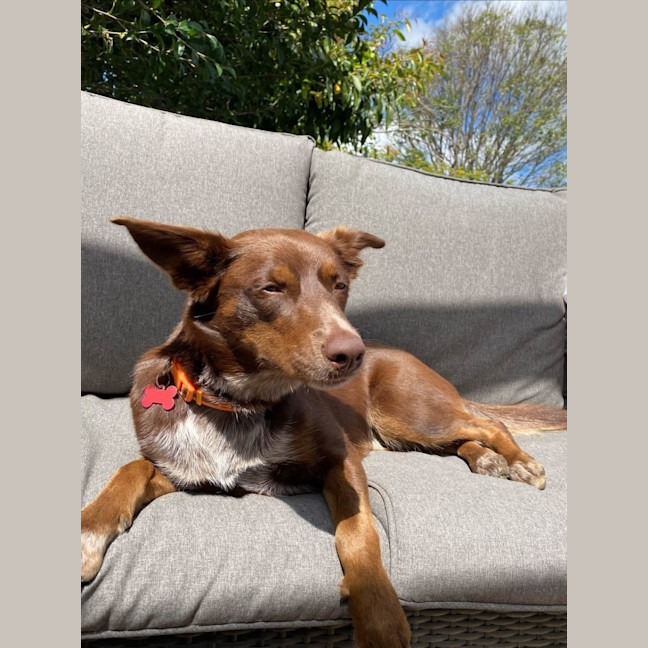 Photo of Tessa