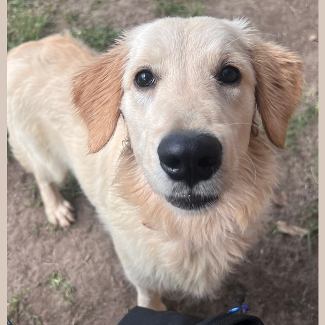 Photo of Butter