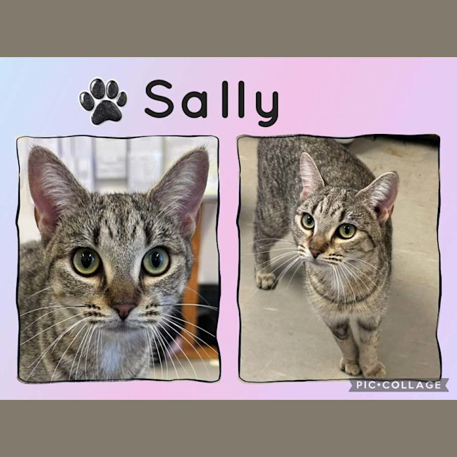 Photo of Sally