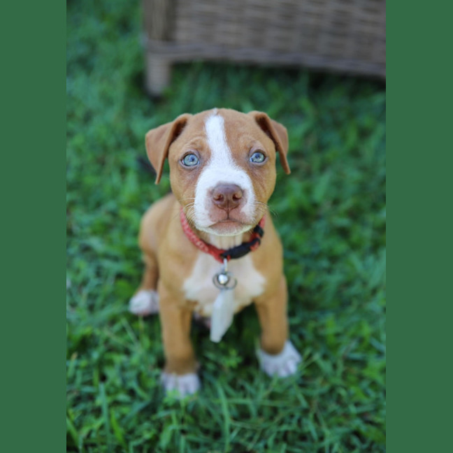 Photo of Salsa
