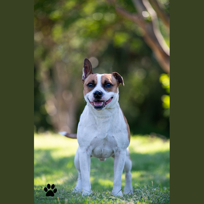 Photo of Monty