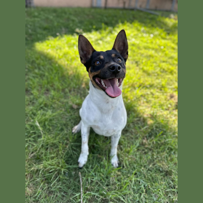 Photo of Skip