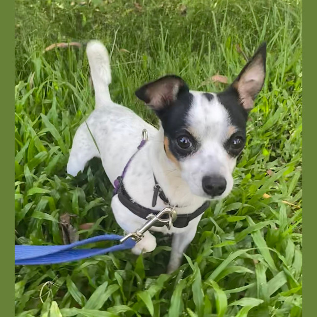 Photo of Doug