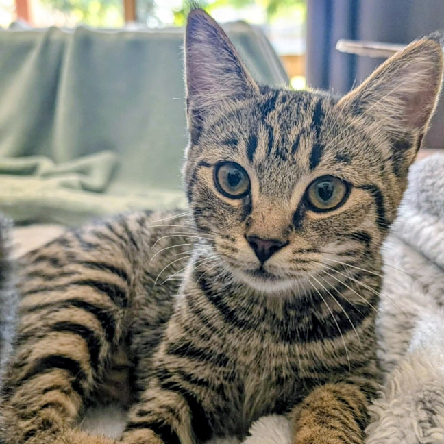 Photo of Lola