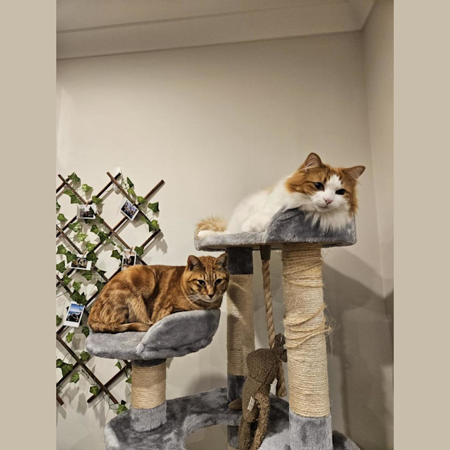 Photo of Zoe & Simba
