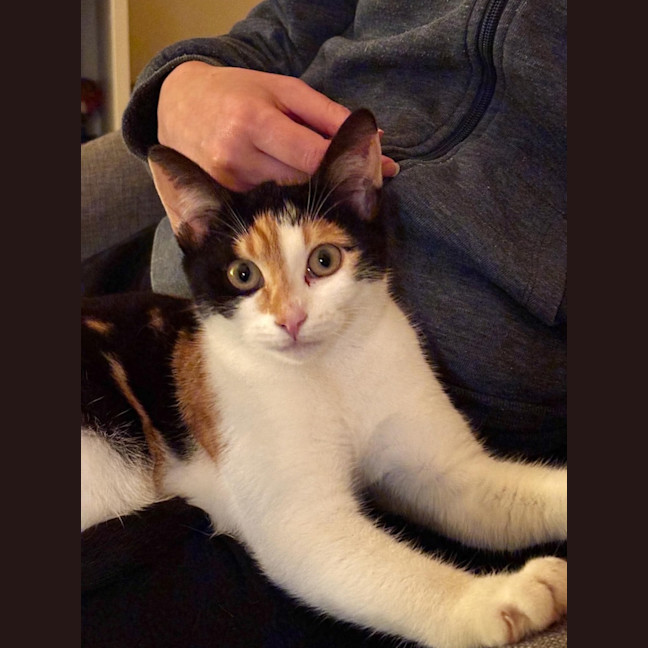 Photo of Rosie & Rudy 