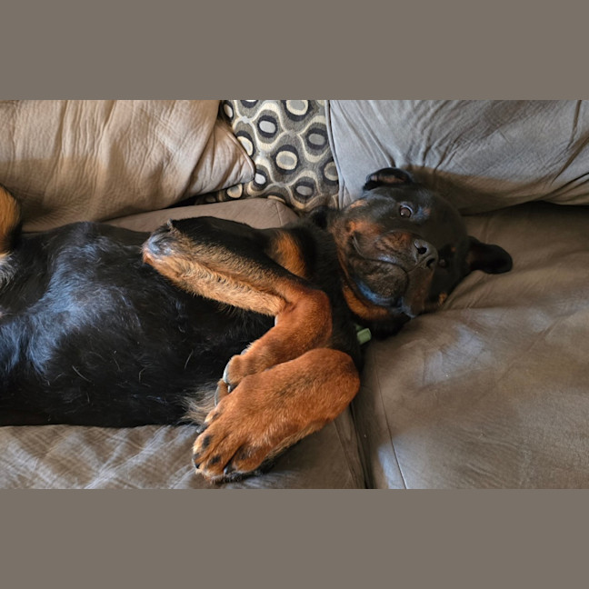 Photo of Lj
