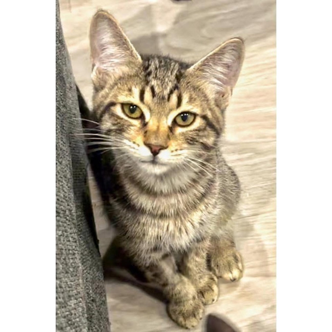 Photo of 11963   Travis