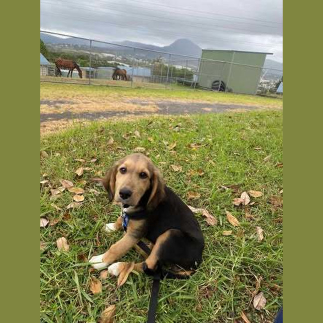 Photo of Milly