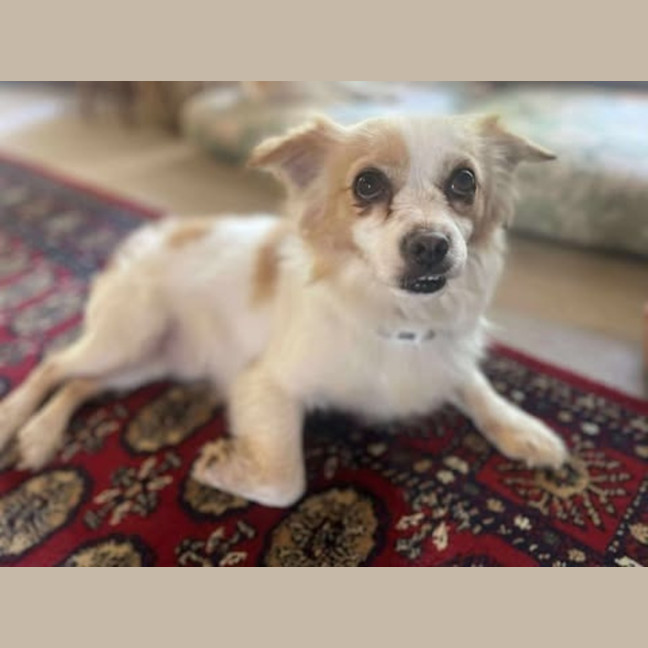 Photo of Pablo