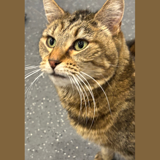 Photo of Marley