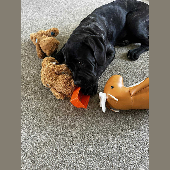 Photo of Charlie
