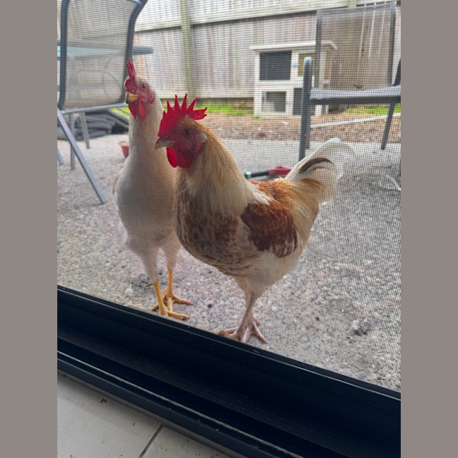 Photo of Butter & Honey