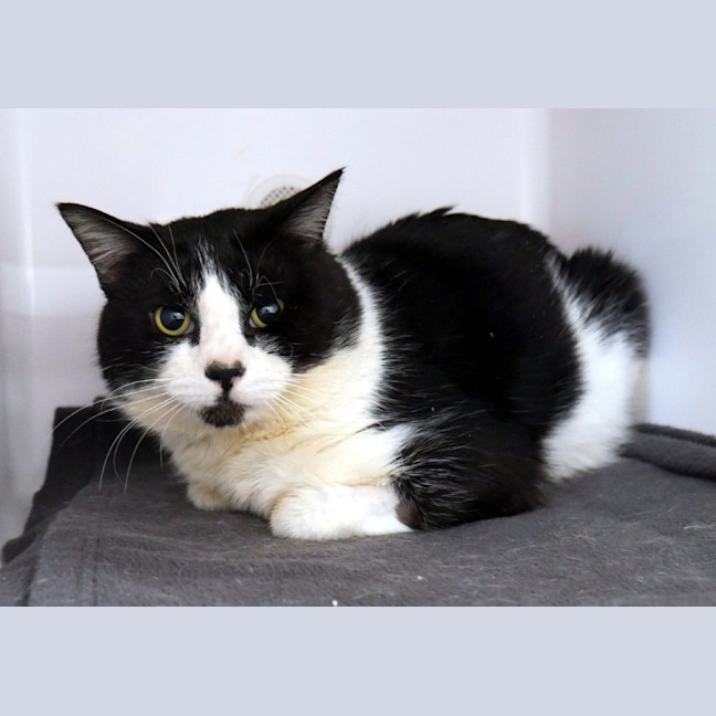 Photo of Scout Sta012819