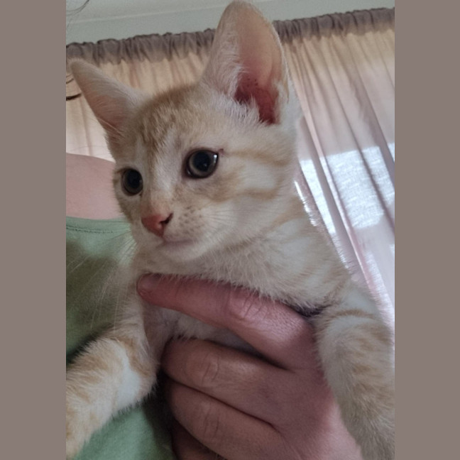 Photo of Harley